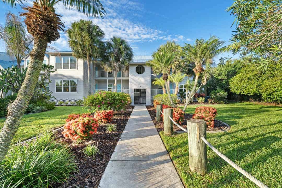 Tree-lined pathway leading to a two-story house with palm trees and flowering bushes on a sunny day.